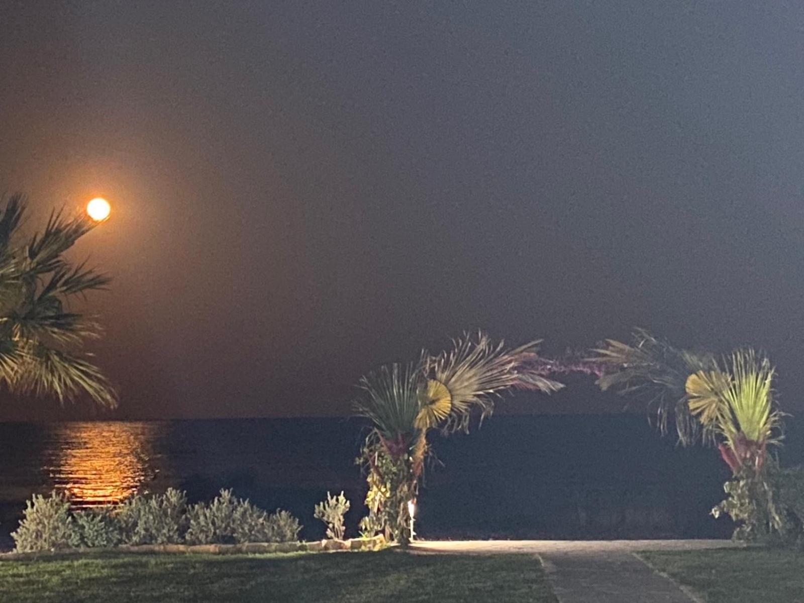 Ionion Beachfront Villa Ayia Napa Luaran gambar