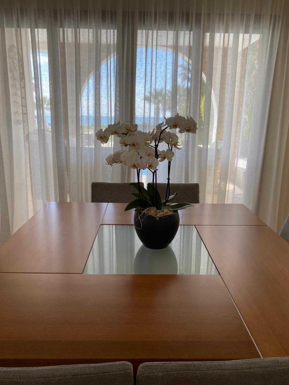 Ionion Beachfront Villa Ayia Napa Luaran gambar